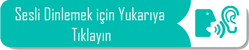 Mavi’nin Orman Serüveni: Dostluk ve Müzik Duygusu